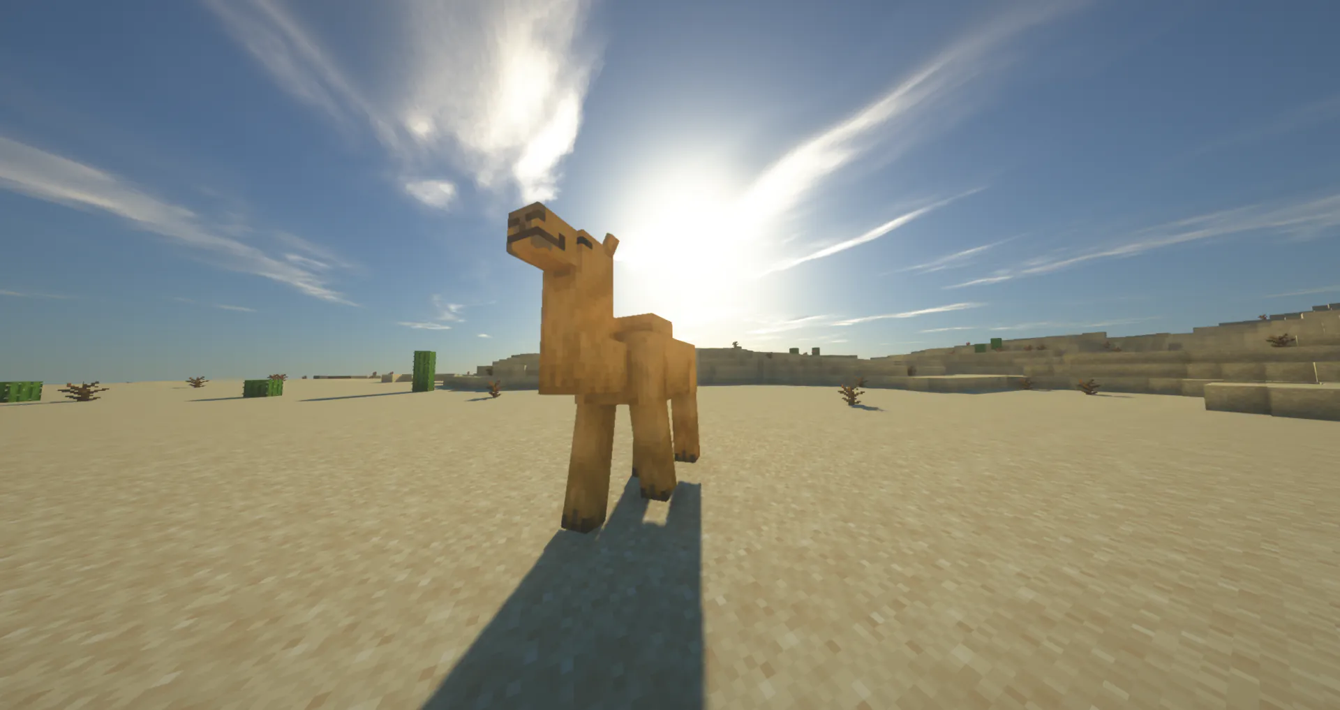 Camels in a Minecraft desert on EarthMC